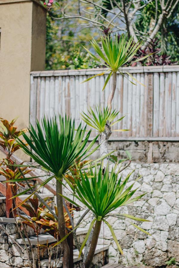 Shrining Cottages Lembongan エクステリア 写真